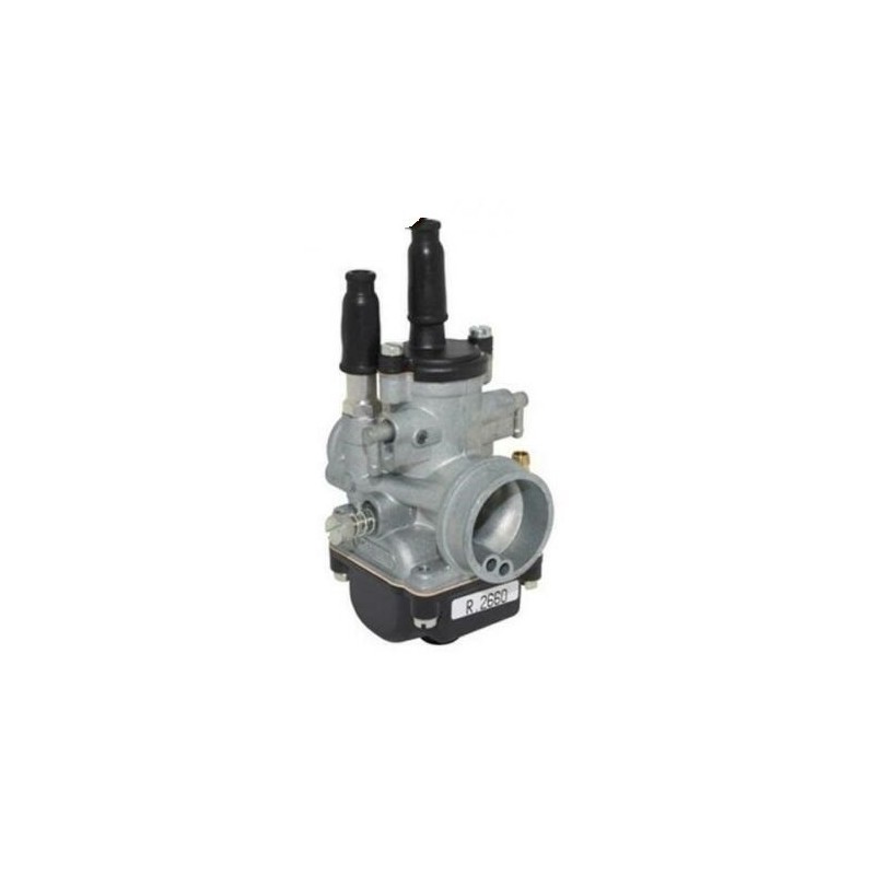 Carburatore PHBG 21 BS Aria Manuale Dellorto 02660 per Piagg