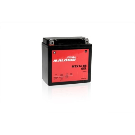 Batteria Malossi MTX14 BS GEL Malossi 4418923 per BMW R