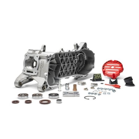 Carter Motore Completo Malossi 5715845 per Gilera Runner 50