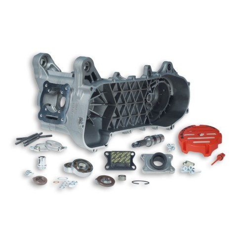Carter Motore Completo Malossi 5716668 per Aprilia Rally 50
