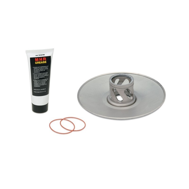 Torque Driver ØEst. 134 mm Malossi 61 9100 per Piaggio ZIP