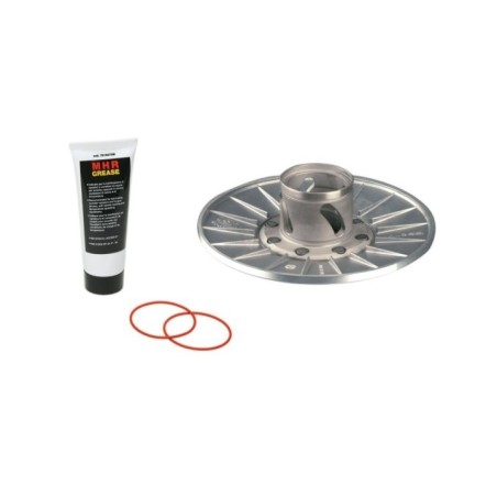Torque Driver 4stroke Malossi 6111763 per Aprilia Leonardo