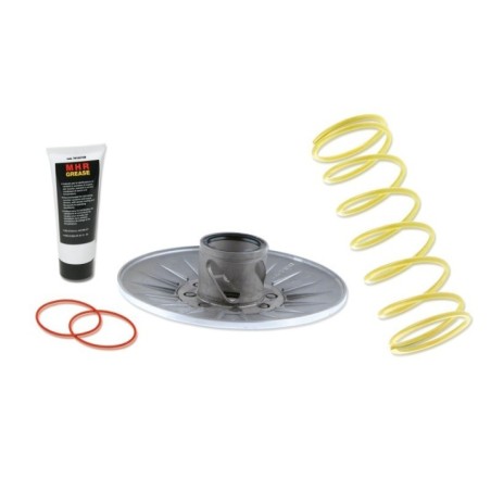 Torque Driver 4stroke Malossi 6111964 per Honda Pantheon