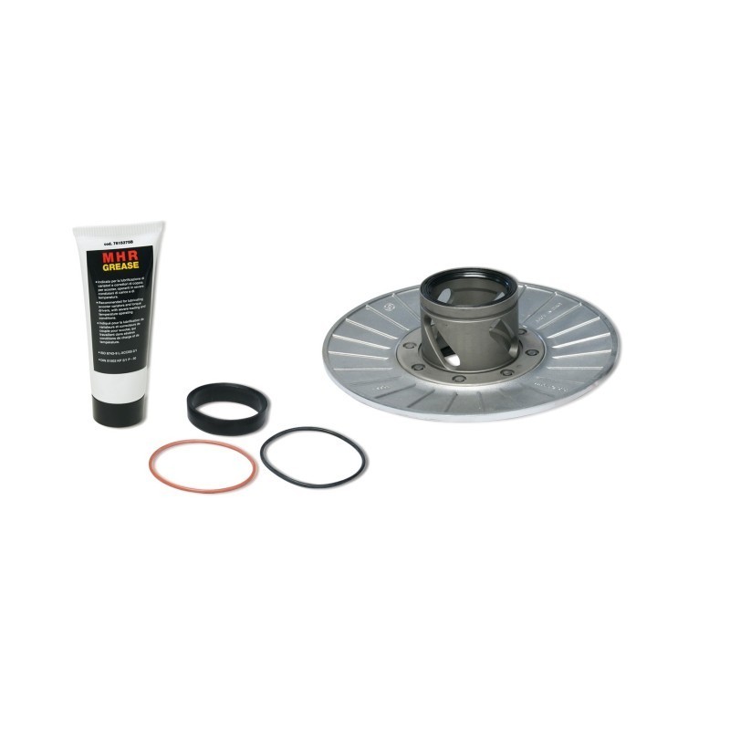 Torque Driver 4stroke Malossi 6112563 per Piaggio Beverly