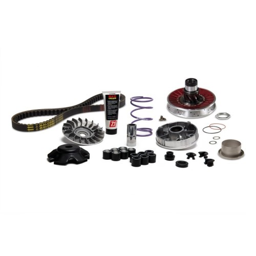 Carter Lungo Malossi 6115781 per Vespa Primavera 50 2T