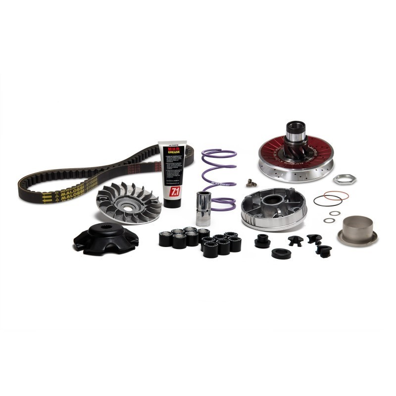 Carter Lungo Malossi 6115781 per Vespa Primavera 50 2T
