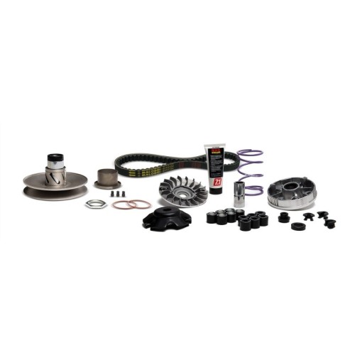 Carter Lungo Malossi 6118835 per Piaggio NRG Extreme 50 2T