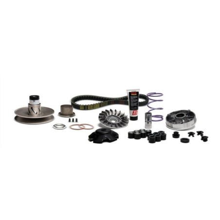 Carter Lungo Malossi 6118835 per Piaggio NRG Extreme 50 2T