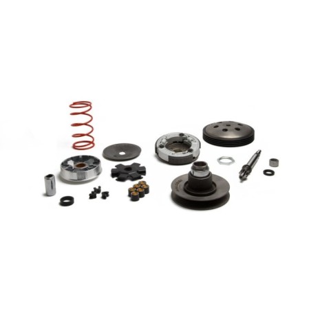 Over Range Malossi 6119262 per Piaggio Bravo 50 2T