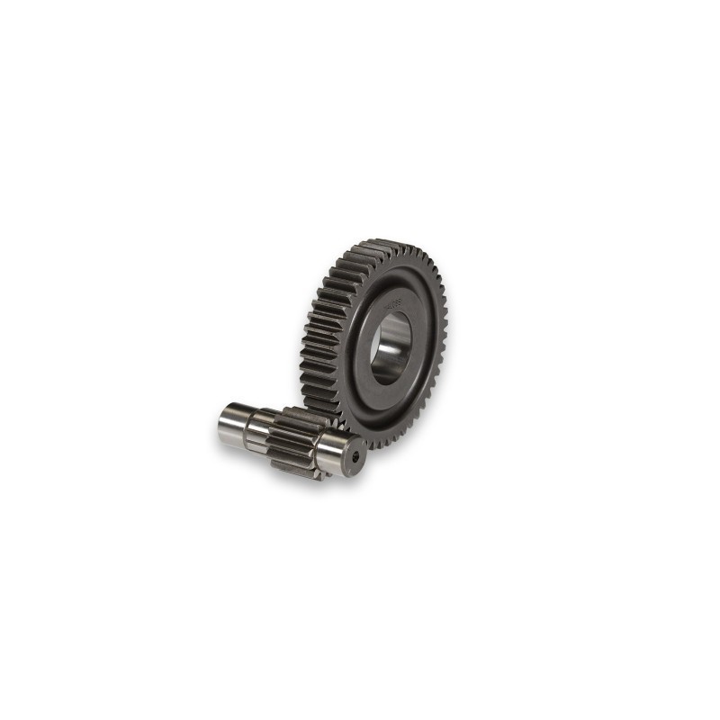Ingranaggi Secondari HTQ Z 13/48 Forzato Ø17 Malossi 67 9966