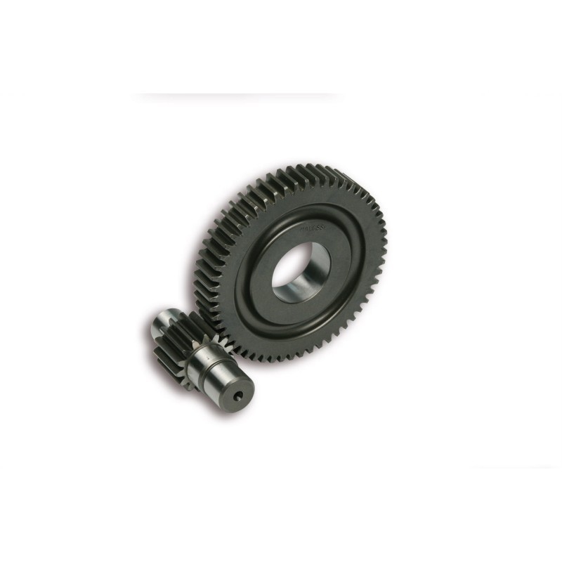 Ingranaggi Secondari HTQ Z 15/55 Forzato Ø17 Malossi 6711135