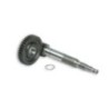 Ingranaggi Primari HTQ Z 16/37 Malossi 6711449 per Piaggio