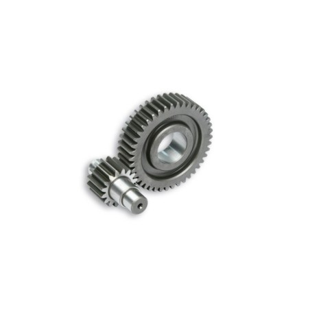 Ingranaggi Secondari HTQ Z 16/42 Malossi 6711860 per Gilera
