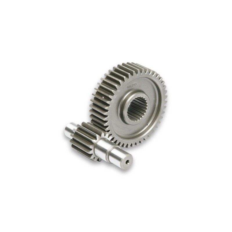 Ingranaggi Secondari HTQ Z 14/43 Malossi 6713301 per Yamaha