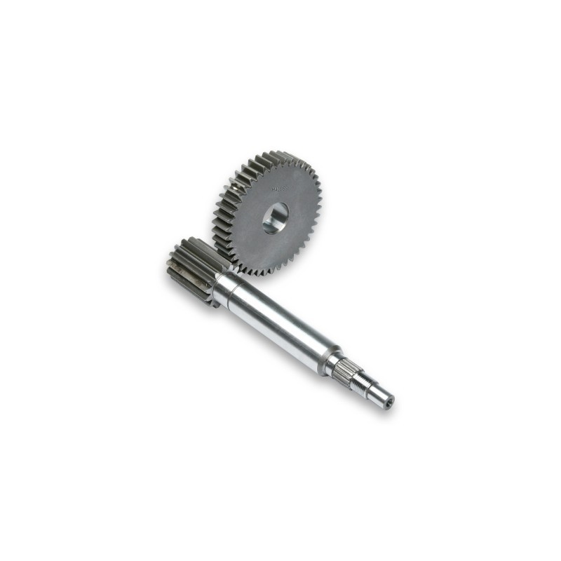 Ingranaggi Primari HTQ Malossi 6713602 per Ingranaggi HTQ