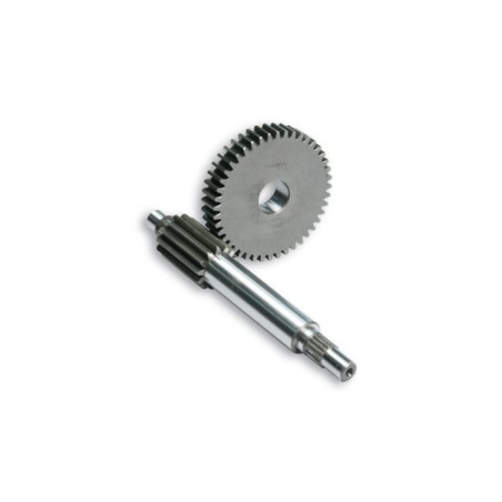 Ingranaggi Primari HTQ Z 13/44 Malossi 6714039 per Yamaha