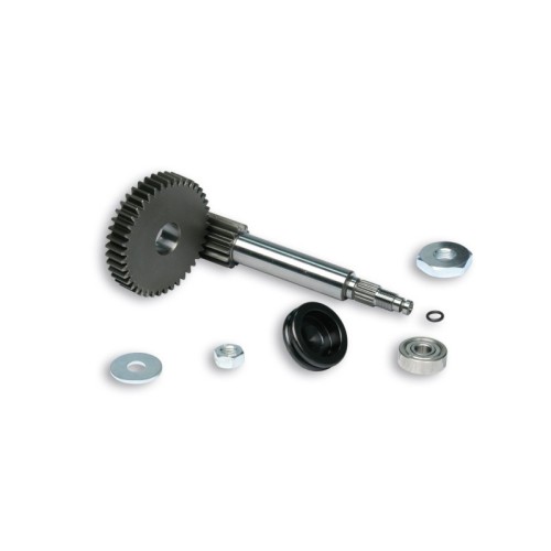 Ingranaggi Primari Terzo Supporto Z 14/42 Malossi 6714733