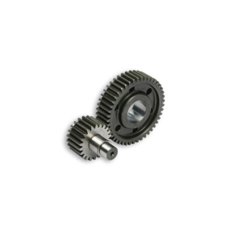 Ingranaggi Secondari HTQ Z 22/45 Malossi 6714844 per Vespa