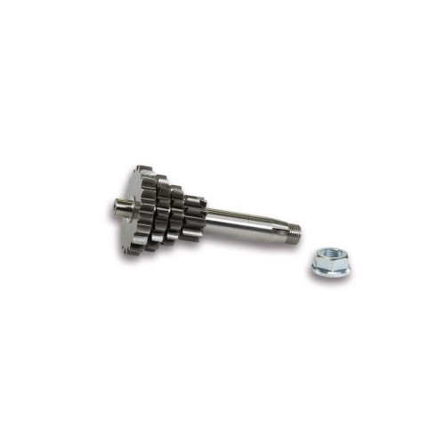 Ingranaggio Cambio Malossi 6716207 per Vespa PK XL 125 2T
