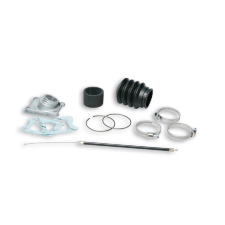 Complessivo Collettore Malossi 20 5703 per Honda 80 MBX