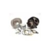 KT00012 kit cilindro gruppo termico DR Racing Parts per D.50