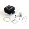 KT00123 kit cilindro gruppo termico DR Racing Parts per D.40