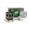 9925800 gruppo termico Top Performance per D.47 Peugeot