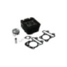 9928300 gruppo termico Top Performance per D.49 Aprilia