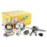 9926580 Maxi kit gruppo Top Performances 9926580 per Grupp