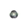Frizione Top Top Performances FZ00365 per Frizione motore