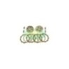 9931900 kit frizione completa Tamburo+dischi "TPR" per Am345