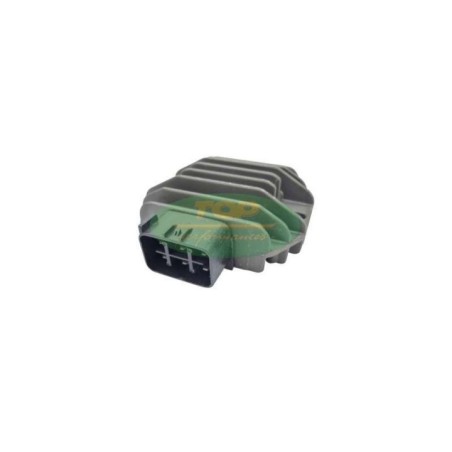Regolatore di Tensione Top Performances RE00023 per Regola