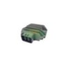 Regolatore di Tensione Top Performances RE00023 per Regola