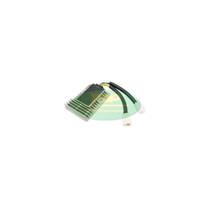 Regolatore di Tensione Top Performances RE00028 per Regola