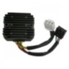 Regolatore di Tensione Top Performances RE00032 per Regola
