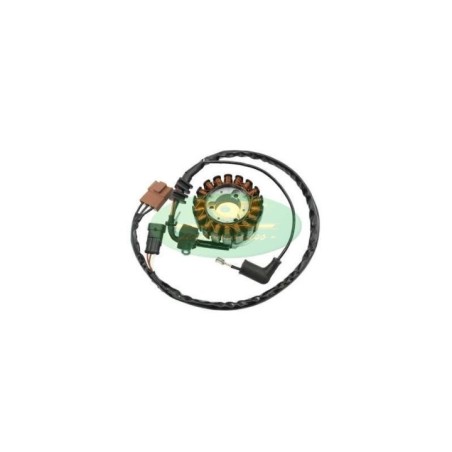 Statore Top Performance ST00023 per Piaggio Beverly 250 /