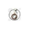 ST00032 statore 12 Poli per Motori Minarelli / Yamaha AM6