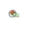 9909300 centralina Top Performances 9909300 per Centralina