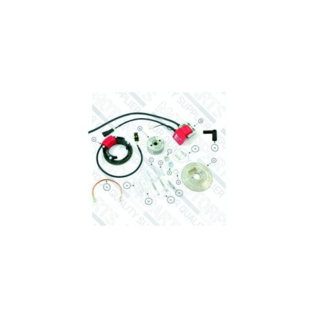 99ARI0100 accensione a Rotore Interno Top Performance per TP