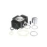 Kit Gruppo termico Cilindro in Ghisa D.46 Polini 115.0068