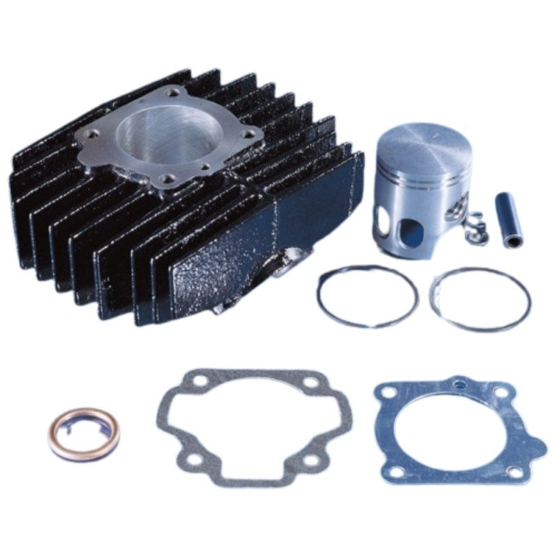Kit Gruppo termico Cilindro in Ghisa D.46 Polini 119.0030