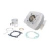 Kit Gruppo termico Polini 1.190.052 per Honda Wallaroo