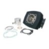Kit Gruppo termico Cilindro in Ghisa D.46 Polini 119.0055