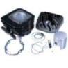 Kit Gruppo termico Cilindro in Ghisa D.47 Polini 119.0077