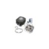 Kit Gruppo termico Cilindro in Ghisa D.47 Polini 119.0078