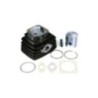 Kit Gruppo termico Cilindro in Ghisa D.47 Polini 133.0072