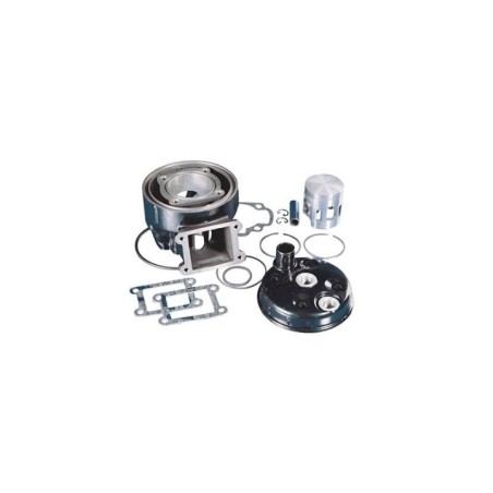 Kit Gruppo termico Cilindro in Ghisa D.47 Polini 133.1003
