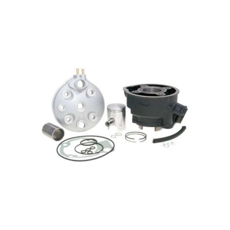 Kit Gruppo termico Cilindro in Ghisa D.40 3 Polini 133.1011