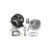 Kit Gruppo termico Cilindro in Ghisa D.47 Polini 140.0054