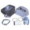 Kit Gruppo termico Cilindro in Ghisa Polini 140.0065/R per P